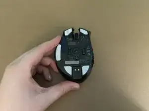 6sTbkvGj2dTIxpFR