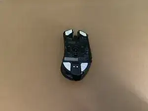 OfZKewJYrbZodSLD