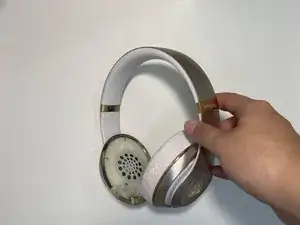 Ear Cushion