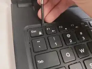WJfnByRlaCleyNNQ
