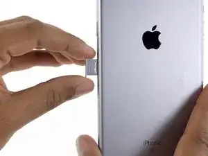 SIM Tray