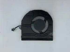 Fan