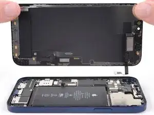 Screen