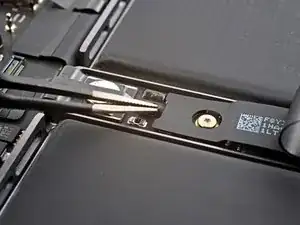 sspXELRZt1xWGUlS