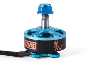 Motor