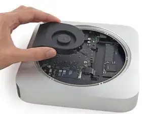 Fan Assembly