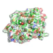 Rat catechol-O-methyltransferase bound to tolcapone. PDB entry 3s68