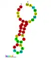 ;CRISPR-DR8: Secondary structure taken from the Rfam Archived 2021-10-17 at the Wayback Machine database. Family RF01321 Archived 2021-02-24 at the Wayback Machine.