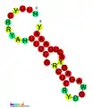 ;CRISPR-DR19: Secondary structure taken from the Rfam Archived 2021-10-17 at the Wayback Machine database. Family RF01332 Archived 2021-02-25 at the Wayback Machine.