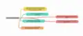 Local Dev Environment Responses on Sharing Mindmap