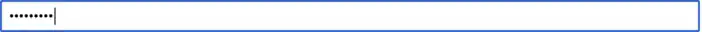 Example of a TextInputWidget with password type