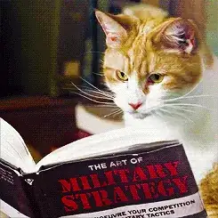 CATS