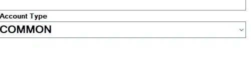 Program result