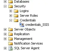 lldb Terminal Log