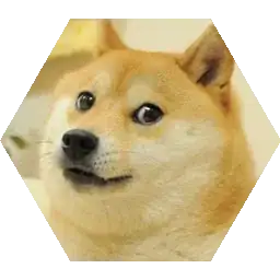 img 2