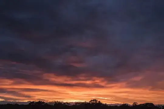 demo