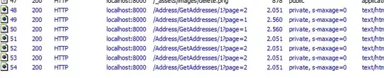 DevToolsActivePort file doesn't exist