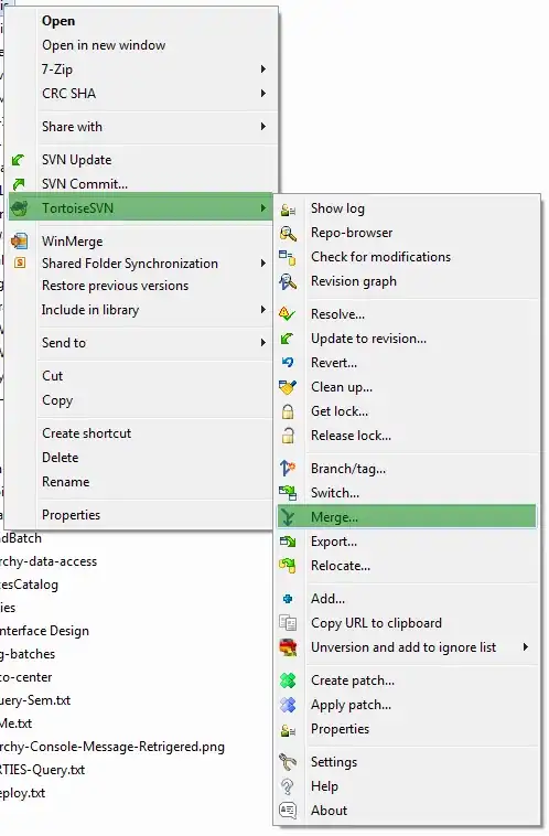 Image showing instruments reporting memory leaks