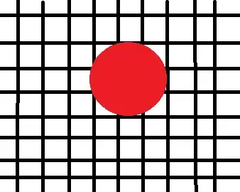 input image converted to gray