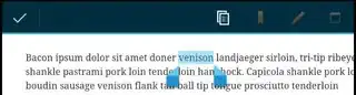 Upon long-press, selection highlight appears along with the contextual action bar.