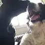 Mux & Gaïa