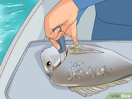 Image titled Fish Step 26