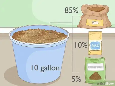 Image titled Grow a Moringa Tree Step 3