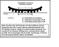 Reifen im Fahrbetrieb