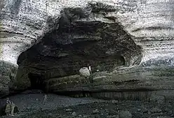 Blick in die Höhle, 1981