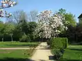 Blick zum Magnolienpavillon