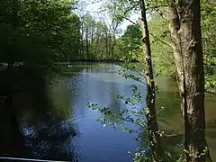 Teich im Woogtal