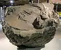 Vulkanische Bombe, 350.000 Jahre alt, Vulkaneifel