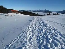 Gindelalm, im Hintergrund der Wendelstein