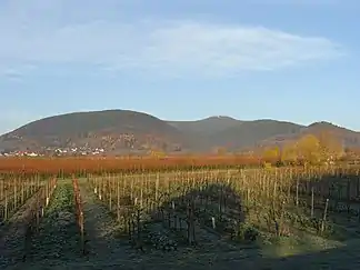 Kalmitmassiv, von links Breitenberg, Kalmit, Kanzel, Wetterkreuzberg