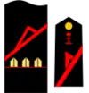 Insignia de Soldado de primera