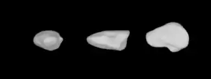 Berechnetes 3D-Modell von (3103) Eger