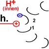 step8