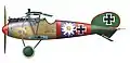 Von Paul Bäumer in der Jasta&nbsp;5 geflogene Albatros D.V