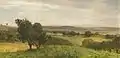 Landschaftsmotiv aus Niederösterreich