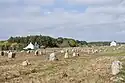 Die Steinreihen