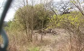 Turmhügelrest und Steinhaufen mit behauenen Steinen