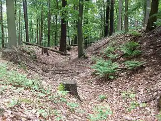 Blick in den Wallgraben Richtung Süden
