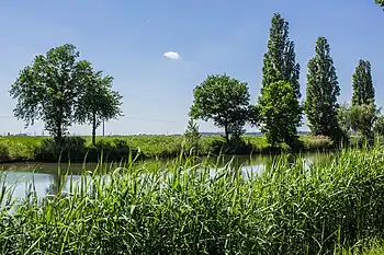 Altmainschleife Südmit Naturschutzgebiet Alter Main bei Bergrheinfeld und Grafenrheinfeld