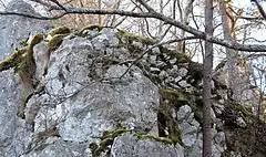 Bild 4: Futtermauereste an der westlichen Felsspitze der Unterburg