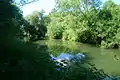 Innerste im Naturschutzgebiet Am roten Steine bei Hildesheim-Itzum