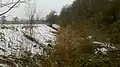 Zufluss An der Planie kurz vor der Mündung in den Gröbenbach