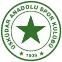 Üsküdar Anadolu