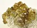 Gelblichbraune Topazolithe aus dem gleichen Fundort (Gesamtgröße: Größe: 7,7&nbsp;cm&nbsp;×&nbsp;6,5&nbsp;cm&nbsp;×&nbsp;2,6&nbsp;cm)