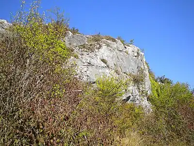 Typisches Angoumien bei Font Grand in Mareuil