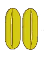Öffnung längs (longitudinal)